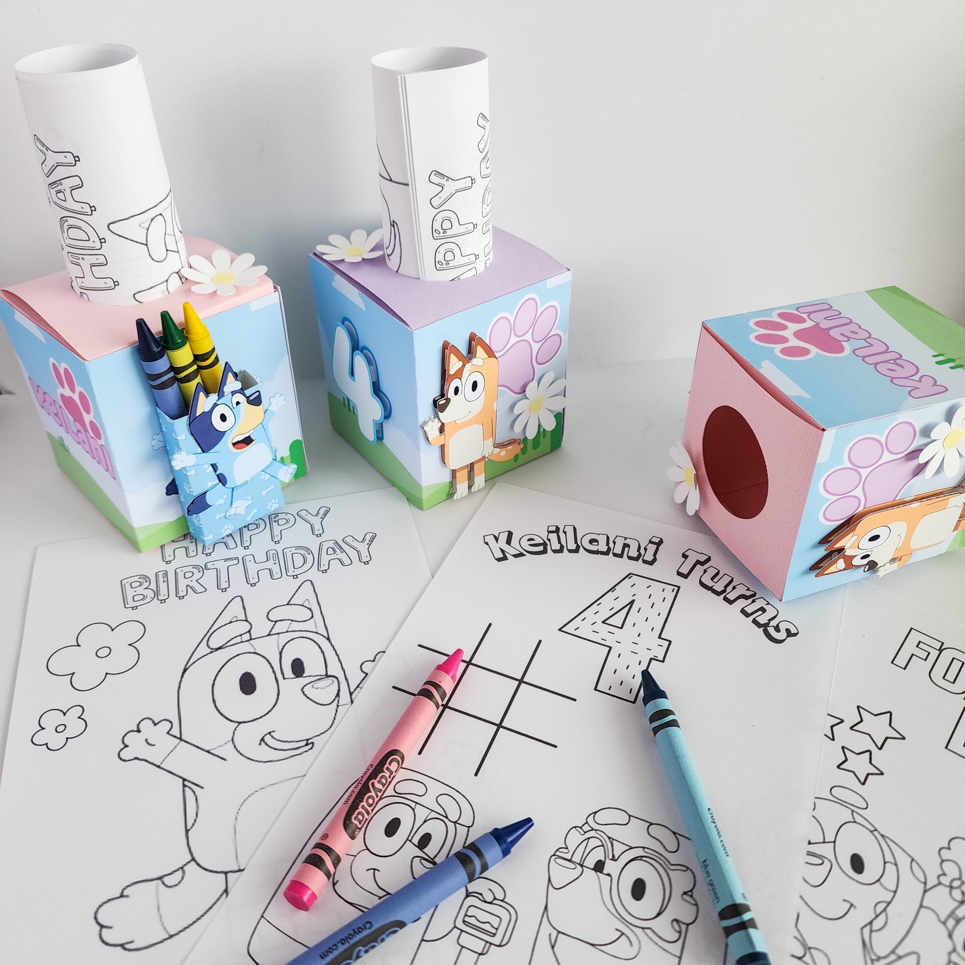 Blue Heeler Coloring Boxes