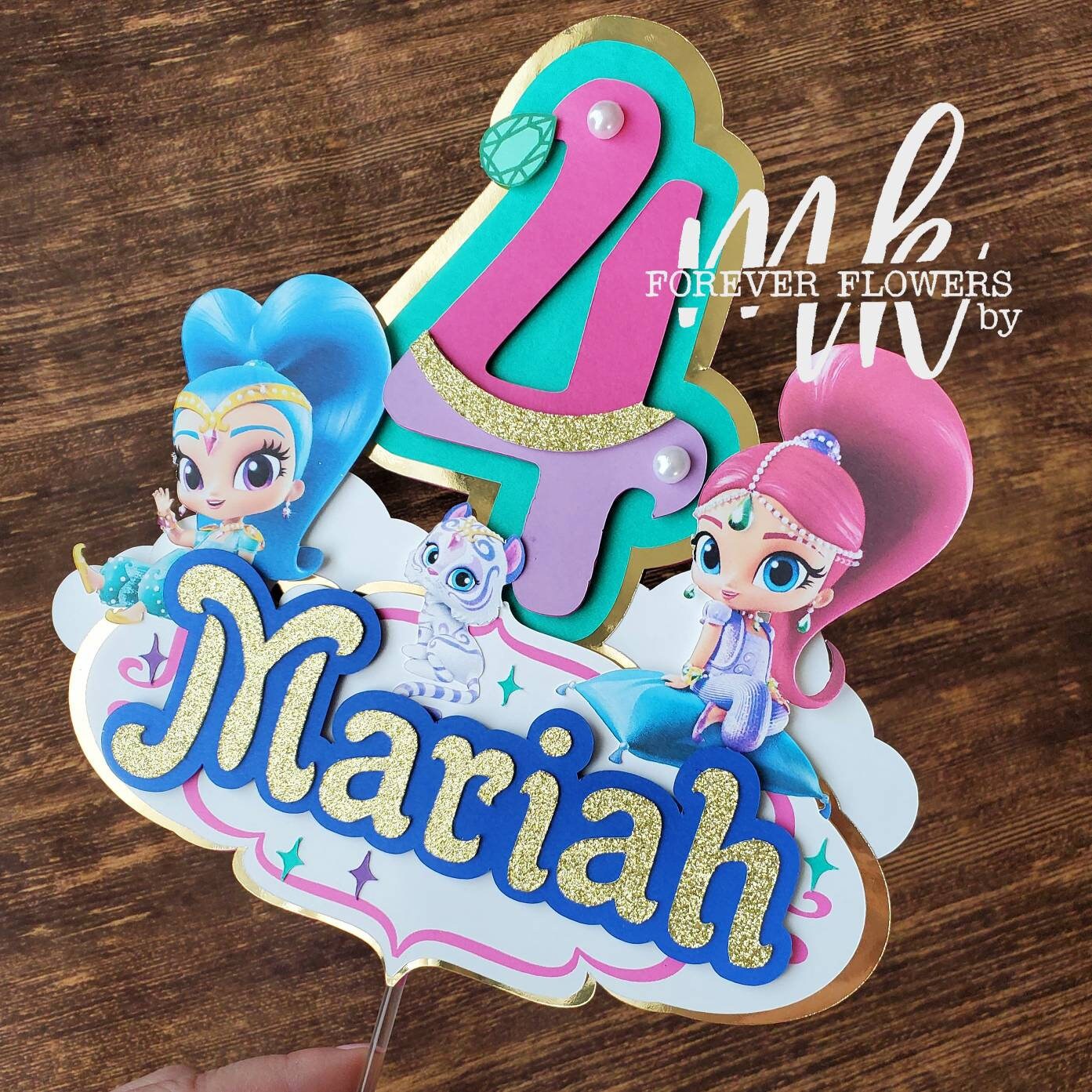 Shimmer & Shine Banner